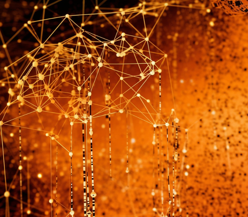 Sicherheit und Datenschutz: Unsere zertifizierte Datenlöschung